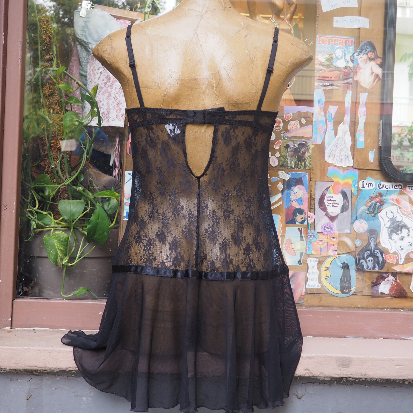 don’t need any favours