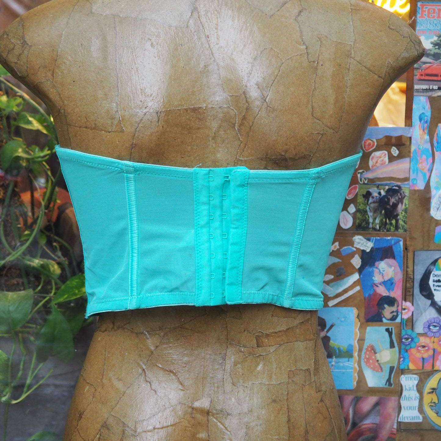 water turtles are so cute