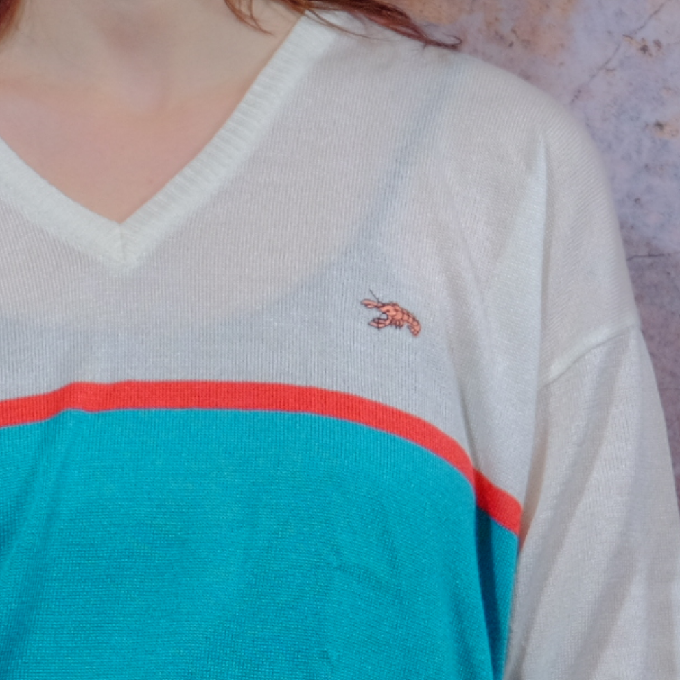 swipe right to see the lobster colourful shirt