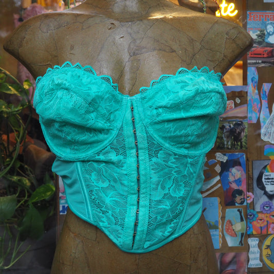 water turtles are so cute