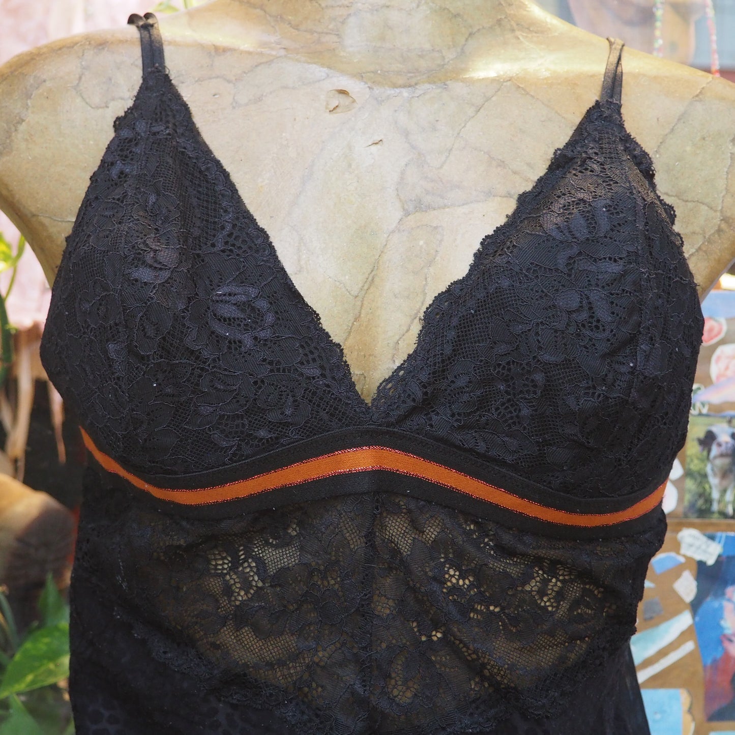 i’ve been everywhere