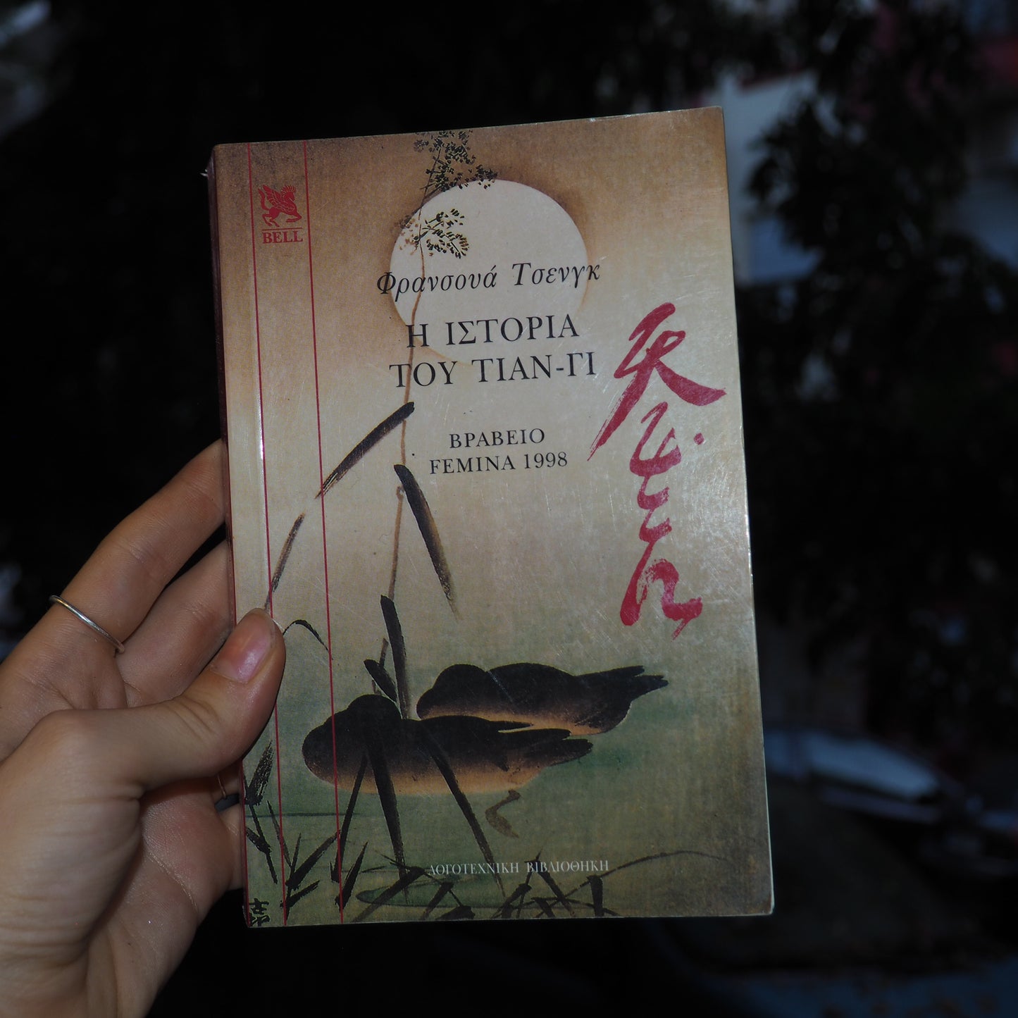 the tale of yianyi